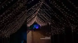 Winterlit at Mountsburg Halton Conservation