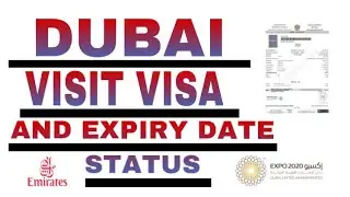 HOW TO CHECK DUBAI VISIT VISA STATUS & EXPIRY DATE ONLINE 2025