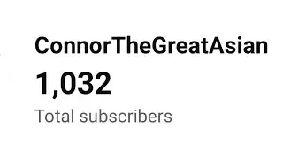 THANK YOU FOR 1000 SUBSCRIBERS!!!