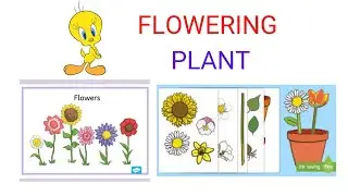 Primary Art Lesson|| MEANING OF FLOWERING PLANT