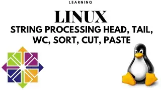 Learning LINUX CentOS From Scratch || String Processing head tail wc sort cut paste