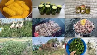 КУПИЛИ ГУСЕЙ/ПОЖАРИЛИ ШАШЛЫК