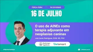 O uso de AINES como terapia adjuvante em neoplasias caninas