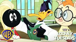 Looney Tunes en Latino | Travesuras de la escuela secundaria 🤪🎓 |  @WBKidsLatino