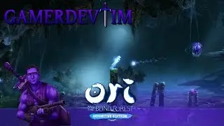 Ori And The Blind Forest Walkthrough 4
