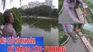 CÂU CÁ BÊN HỒ LINH ĐÀM HÀ NỘI TÂM SỰ BÊN CẦN CÂU FISHING