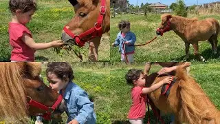 UNA GIORNATA CON IL PONY🌈