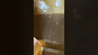 КОТ ОРЁТ В ПОДЪЕЗДЕ