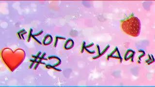 «Кого куда?» #2 (5/5)