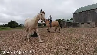 Bodhi & Sky
