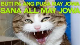 Buti Pa Ang Pusa May Jowa | pusa nagsasalita?