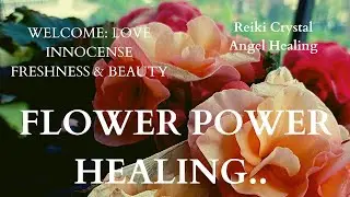 MOST POWERFUL FLOWER POWER HEALING WITH REIKI, FLOWER ESSENCES FRAGRANCES ANGELS CRYSTALS #flowers