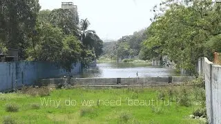 Why do we need beautiful? (Part 2)