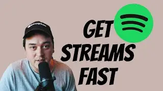 How To Get On Spotify Playlists For Lofi Artists