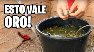 ABONO Potente Natural y Orgánico!! 🌿 Revive PLANTAS y Acelera el COMPOST | La Huerta de Ivan