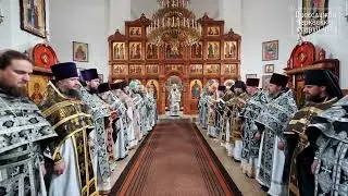 МИТРОПОЛИТ ФЕОДОСІЙ ПРО РЕЦЕПЦІЮ ЦЕРКОВНИХ СОБОРІВ (Корсунь-Шевченківське благочиння 31.03.2023)