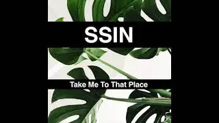 Ssin - Take Me To That Place (Unsigned)