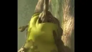 колът (чек аут май ганс ха ха ха)