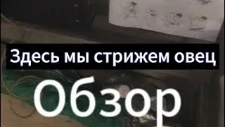 Место для стрижки овец: палеты, линолеум, МСУ-200