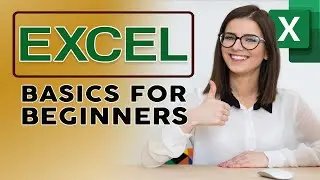 Excel Basics for Beginners