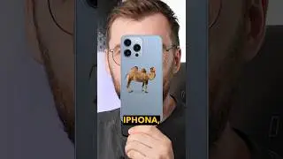 Najlepszy garb do iPhone’a
