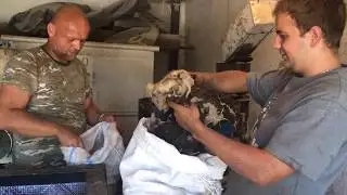 Гранулированная Овечья Шерсть Как Удобрения Твердая Гранула Гранулятор Granulated Sheep Wool As.....