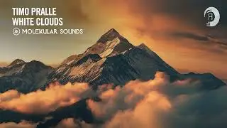 Timo Pralle - White Clouds [Molekular Sounds] Extended