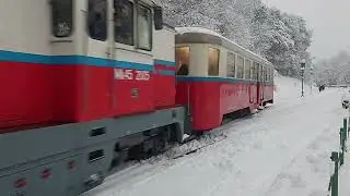 15 декабря 2023 г.