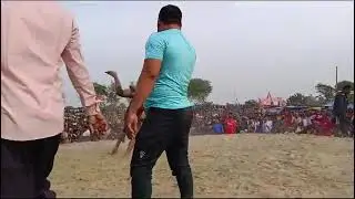 जावेद गनी का तहलका पहलवान भागा दंगल छोड़कर