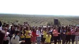 Carsema Sor EFRIN 2010 عفرين