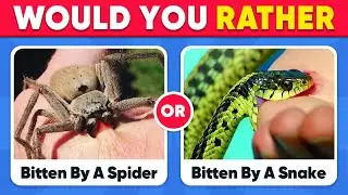 Would You Rather...? HARDEST Choices Ever! 🔥😱 Fox Quiz