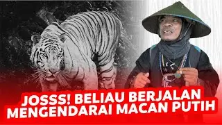 JOKO KENDIL | MACAN PUTIH ❓❗😰 JALANNYA EMANG CEPET BANGET, APAKAH...❓❓❓