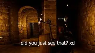 Dark and Darker shields be like