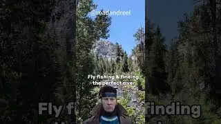 The trees are always out to get me!