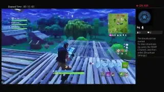 Playing fortnite