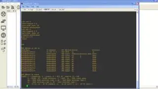 DHCP basics
