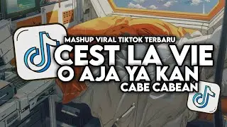DJ CEST LA VIE X O AJA YA KAN X CABE CABEAN FULL SONG MAMAN FVNDY 2024