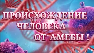 ПРИНЦИП РАБОТЫ ЖИВОЙ КЛЕТКИ