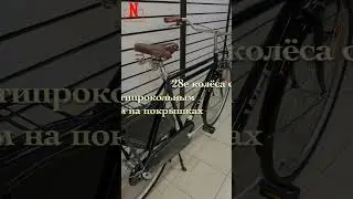 Амстердамер Wels Holland 