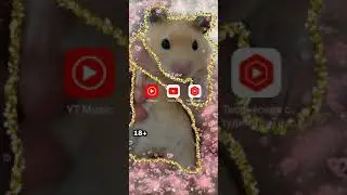 как включать и выключать комментарии на видео YouTube