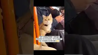 Ты кто😳😡