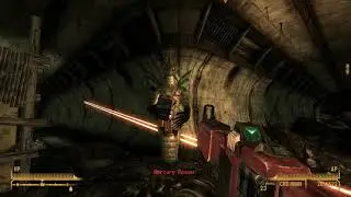 Fallout: The Frontier: The extinction of the Trochili