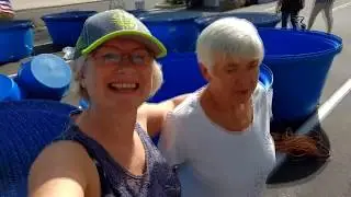 Цветные рыбки-гиганты для декоративного водоёма. Аризона,США.