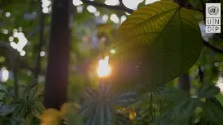 Message by UNDP Administrator Achim Steiner on International Day for Biological Diversity 2023