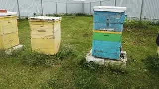 Спас Медовый Маковея и другая языческая вера. Что на самом деле нельзя делать.... православным