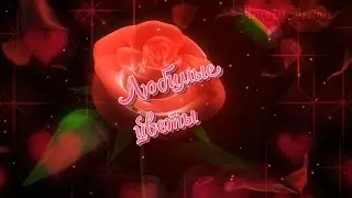 Любимые цветы - розы.