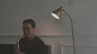 My Heart Will Go On (Saxophone Cover by Dori Wirawan)