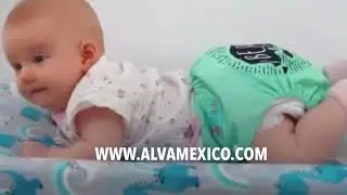 8 de septiembre de 2024