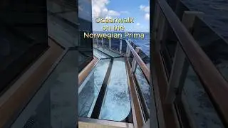 Oceanwalk on the Norwegian Prima Cruise Ship