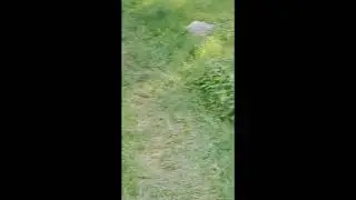 Привлекаем денюжку к себе на растущую луну